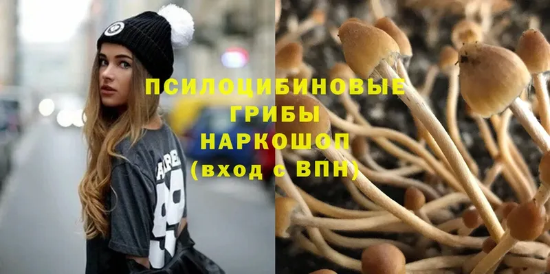 даркнет сайт  Саянск  Галлюциногенные грибы Psilocybe 